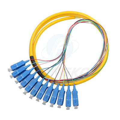 12F FTTH Pigtails en fibre optique SC APC UPC SM G.657A1 Câble à fibre optique